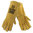 ELLIOTTS GOLDEN CHIEF GLOVE