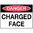 600x450mm - Metal, Class 2 Reflective - Danger Charged Face