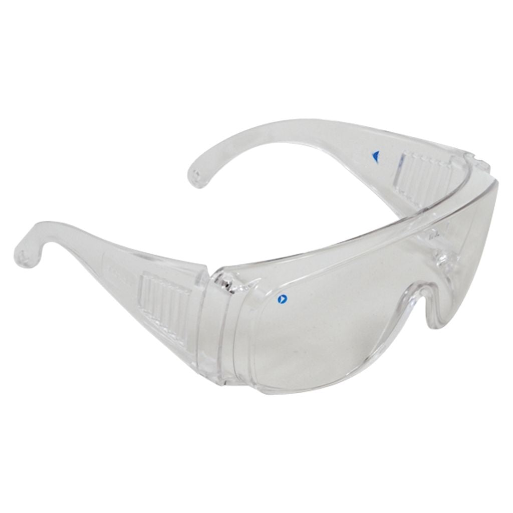 Pro Choice Visitor Over Glasses