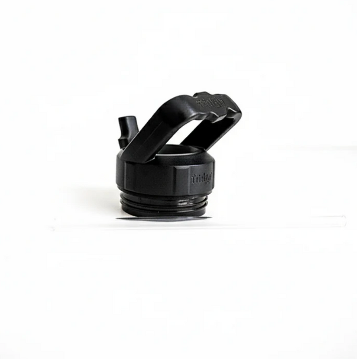 Fridgy Sipper Lid (with straw) FRISIP
